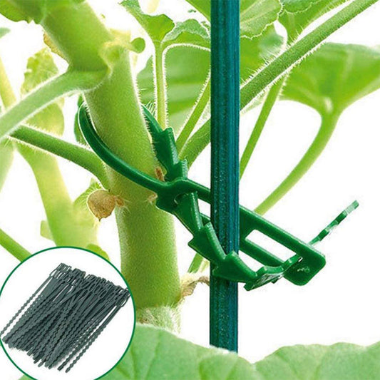Fishbone Ribbon Green Plastic Garden Vine Strap