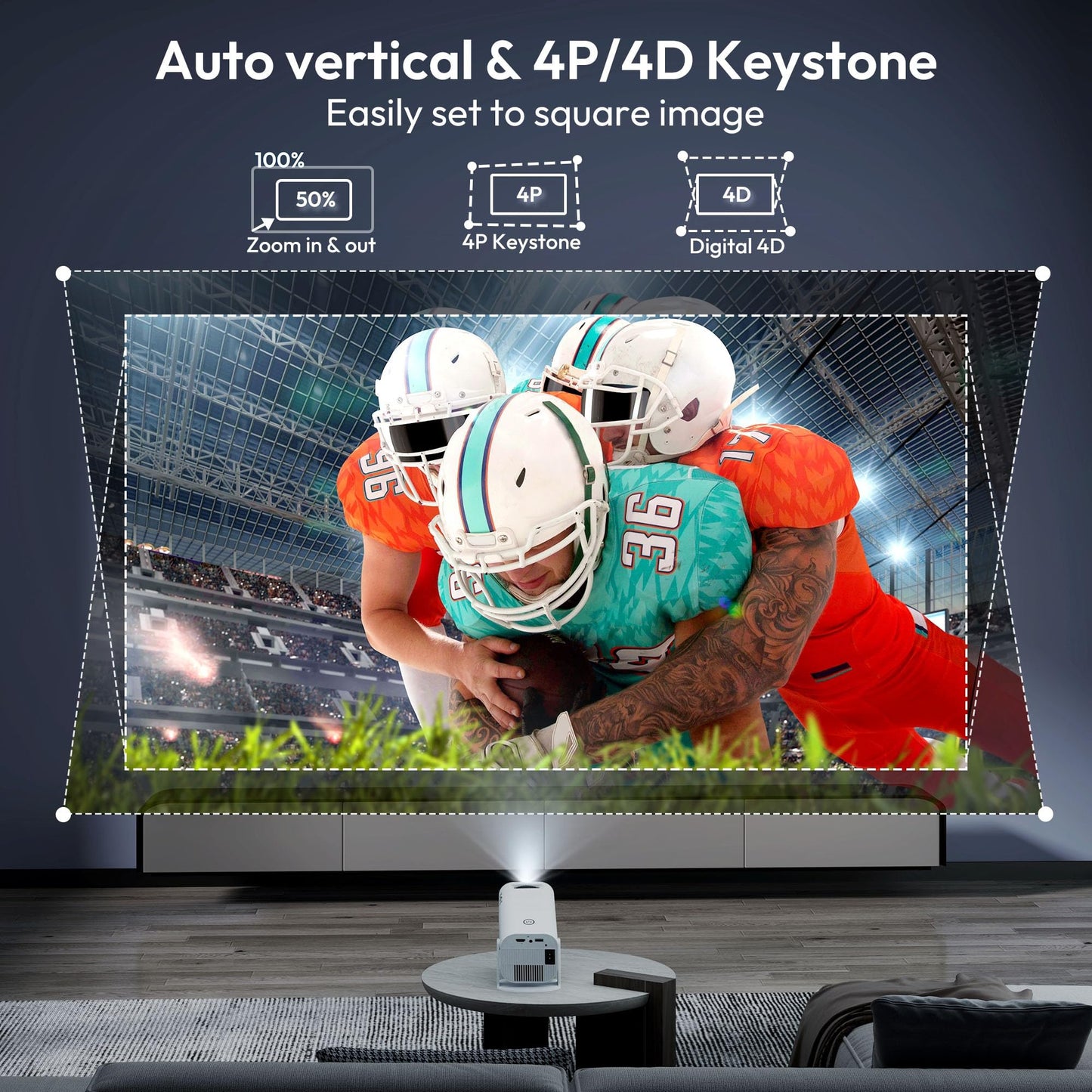 Projector P330