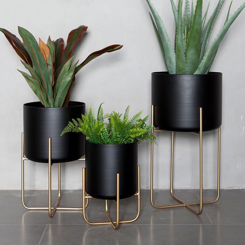 Light Luxury Floor-style Golden Iron Plant Decoration Ornaments