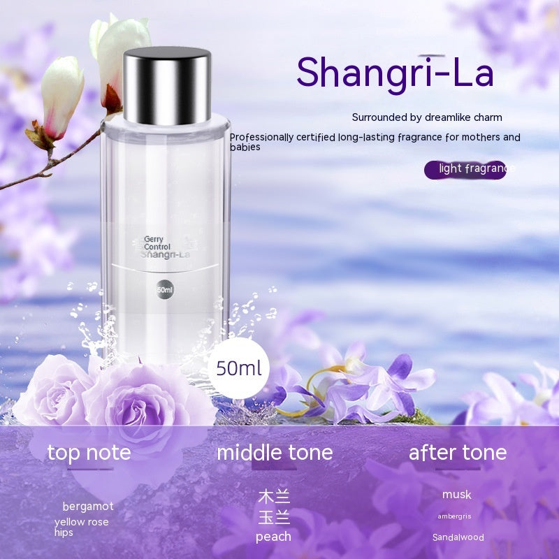 Smart Starry Car Aromatherapy Spray Ambience Light