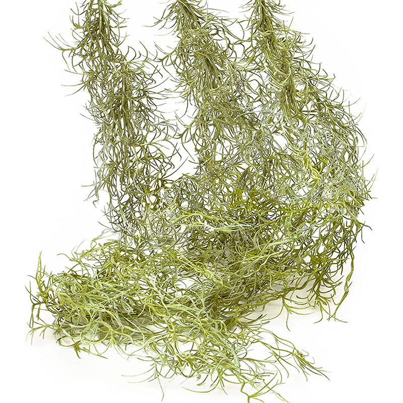 Home Plant Background Wall Decoration