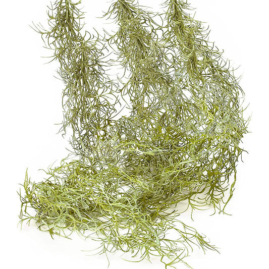 Home Plant Background Wall Decoration