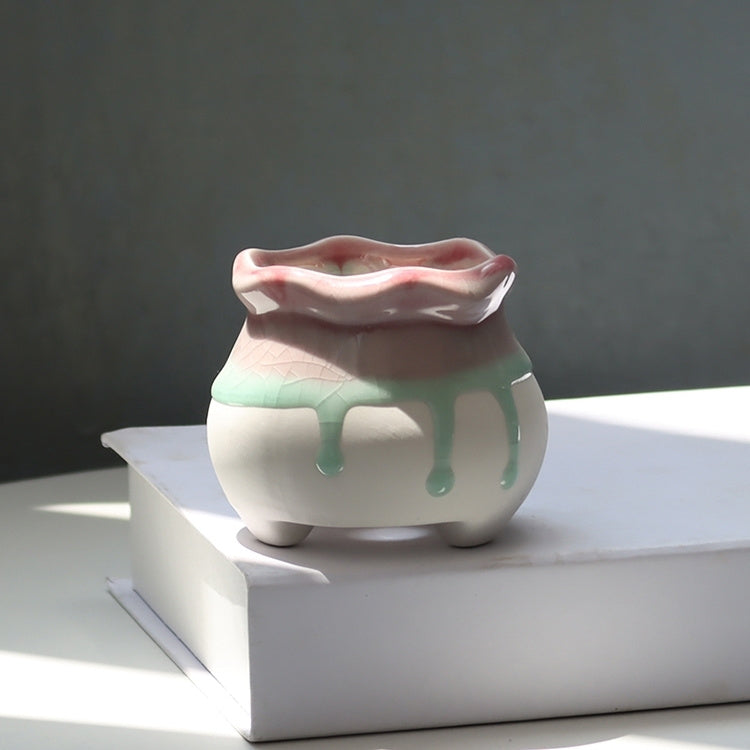 Lithops Succulents Flower Pot Set Combination