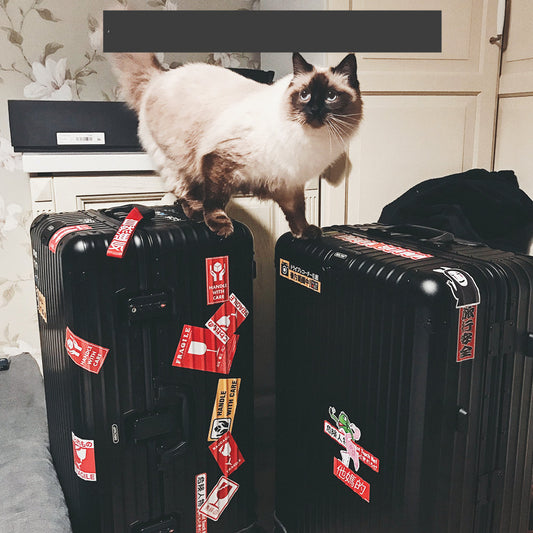 55 French Suitcase Notebook Stickers